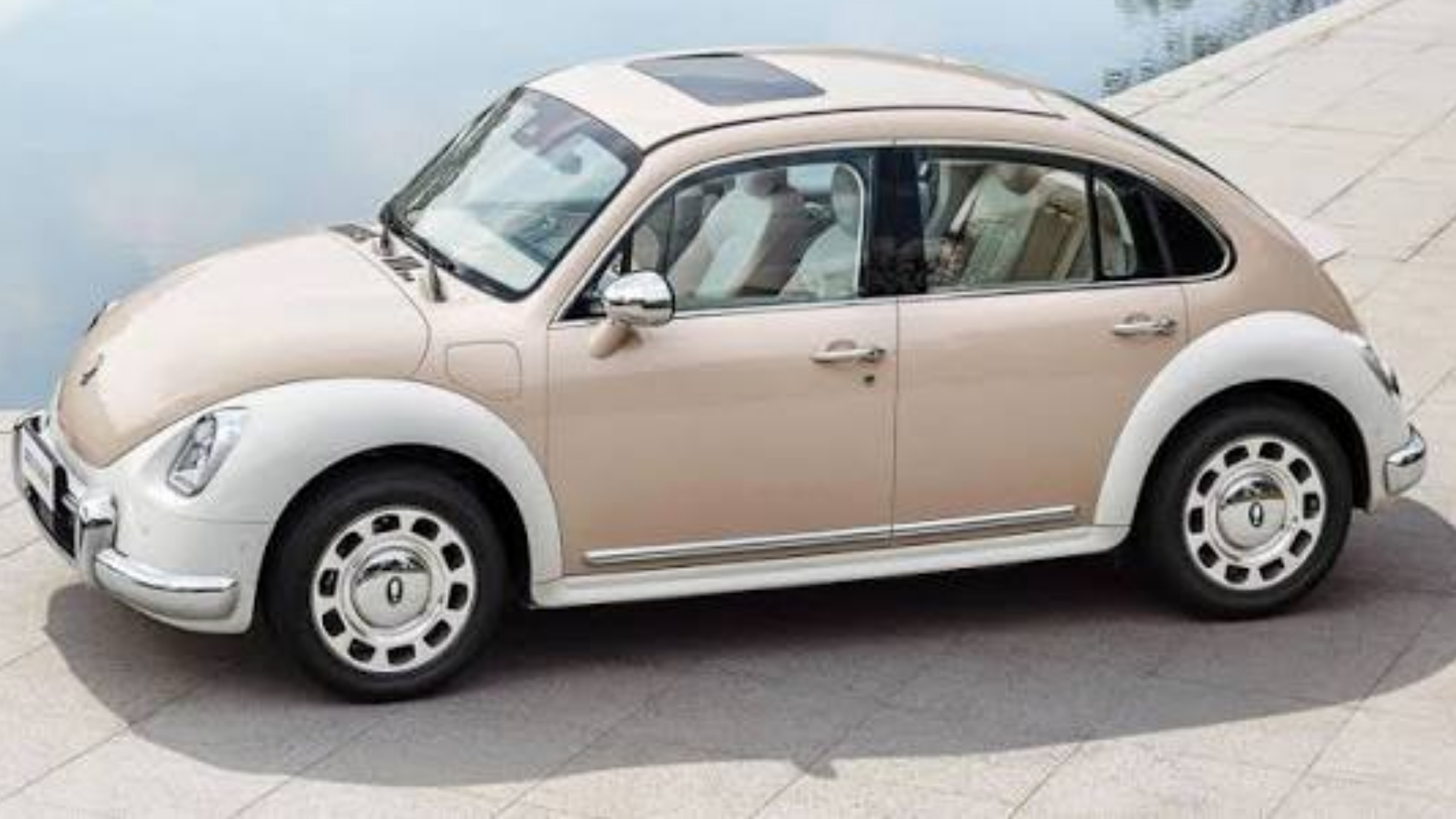 GWM Ora Ballet Cat 2024